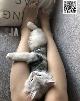 樱花动漫专门专注动漫的门户网站_国产剧免费观看电视剧